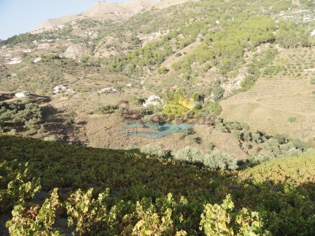 Maison en vente à Nerja