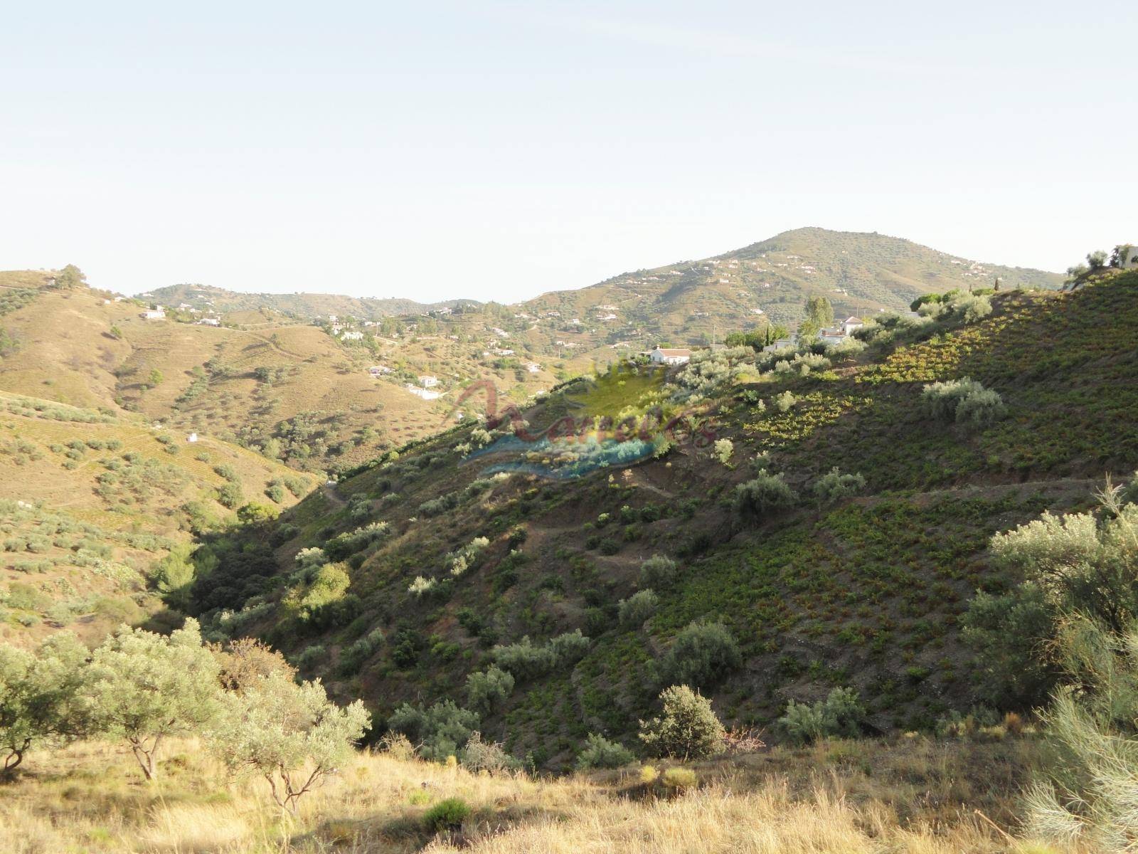 Maison en vente à Nerja