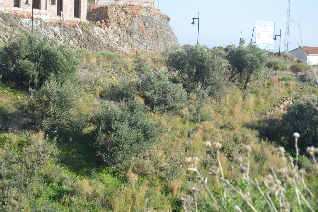 Plot for sale in Torrox Costa