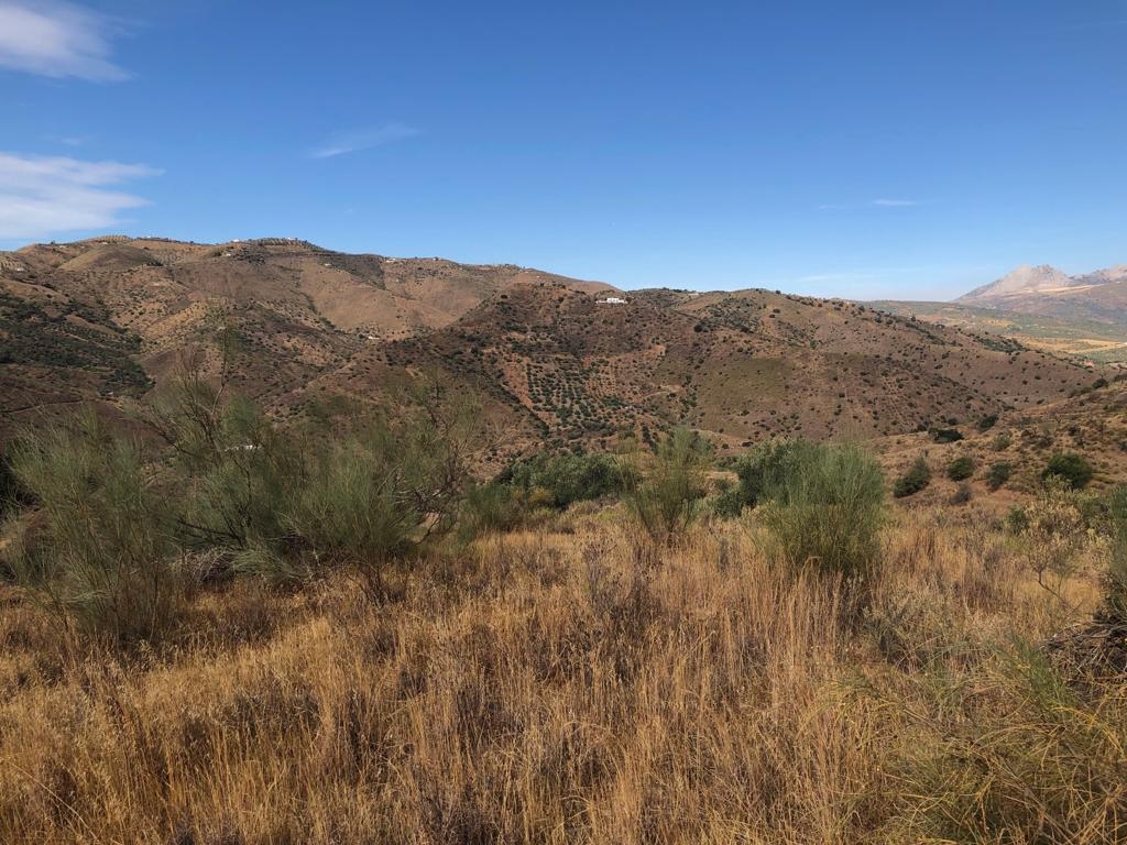 Plot for sale in Riogordo