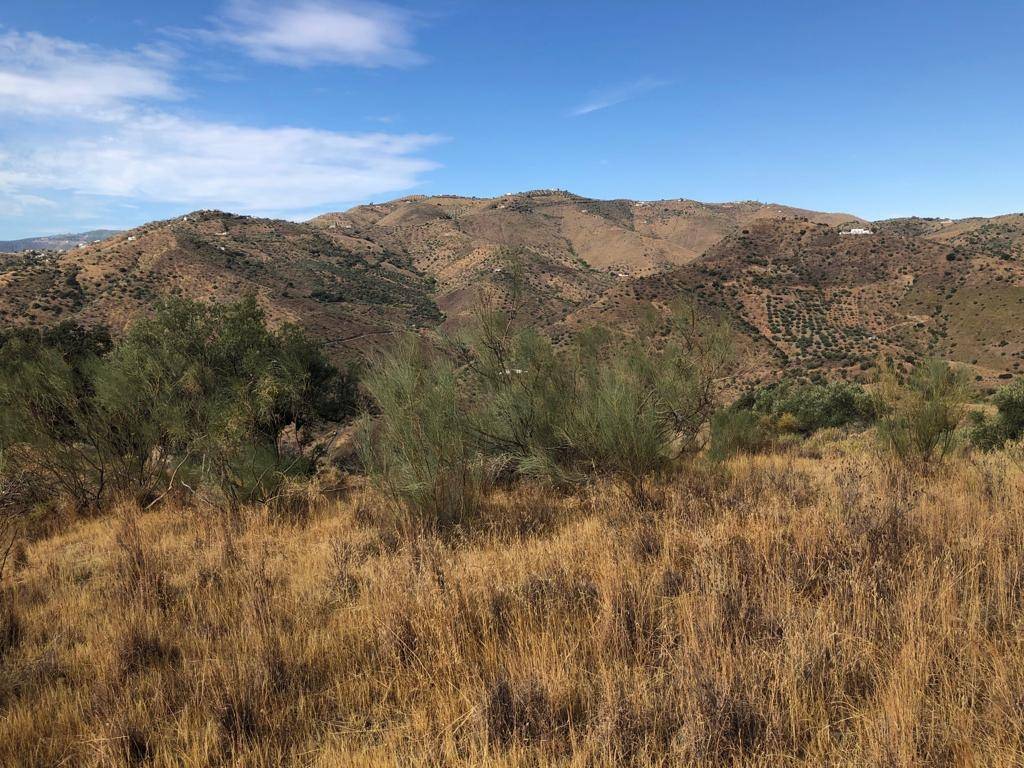 Plot for sale in Riogordo