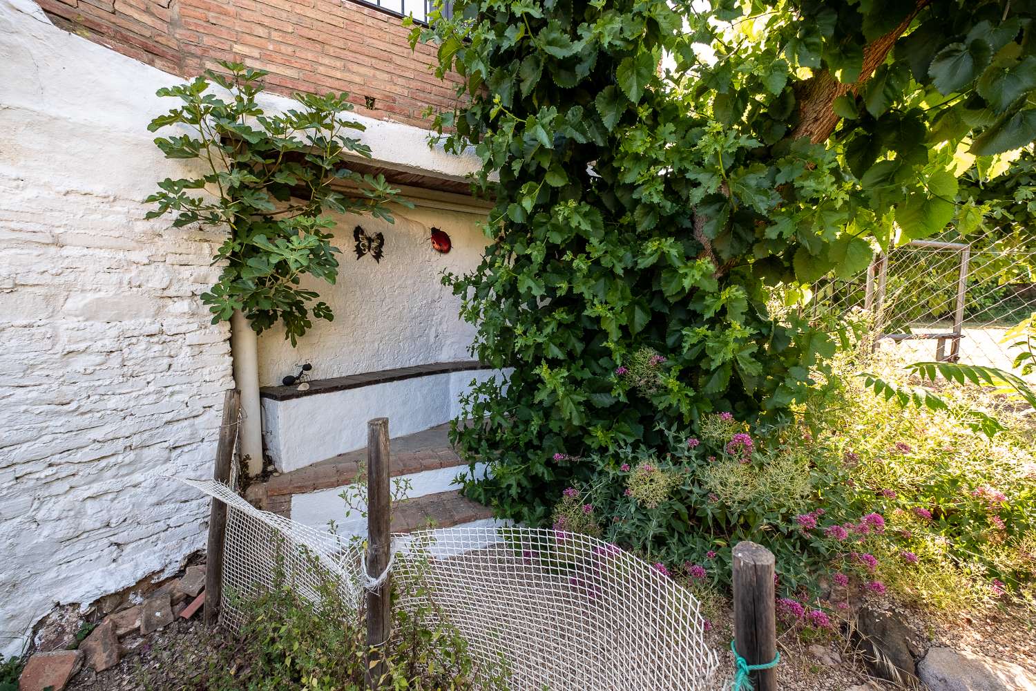 Belle et spacieuse maison de campagne divisée en deux maisons avec accès indépendants