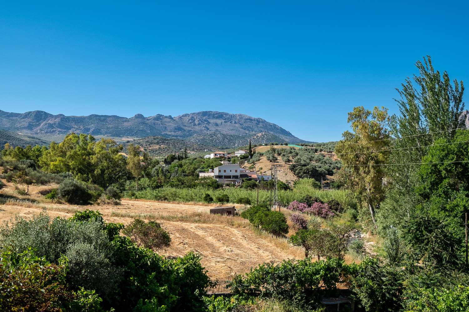 Belle et spacieuse maison de campagne divisée en deux maisons avec accès indépendants