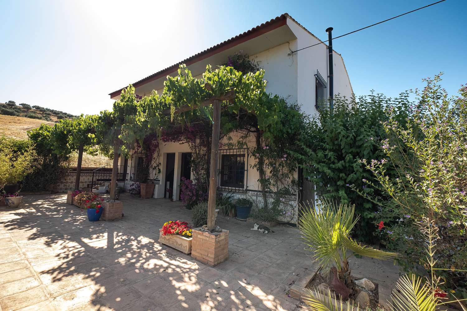 Belle et spacieuse maison de campagne divisée en deux maisons avec accès indépendants