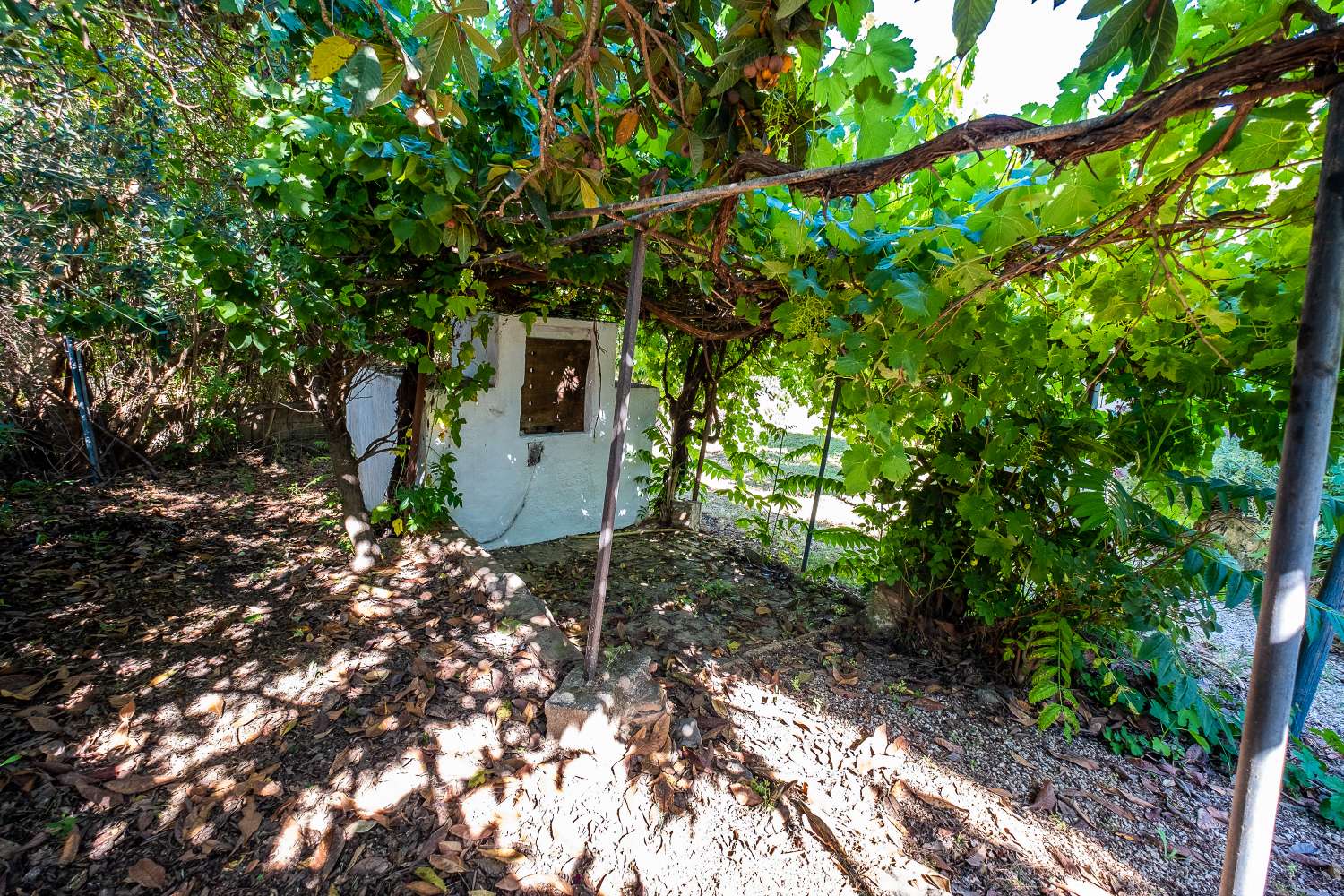 Belle et spacieuse maison de campagne divisée en deux maisons avec accès indépendants