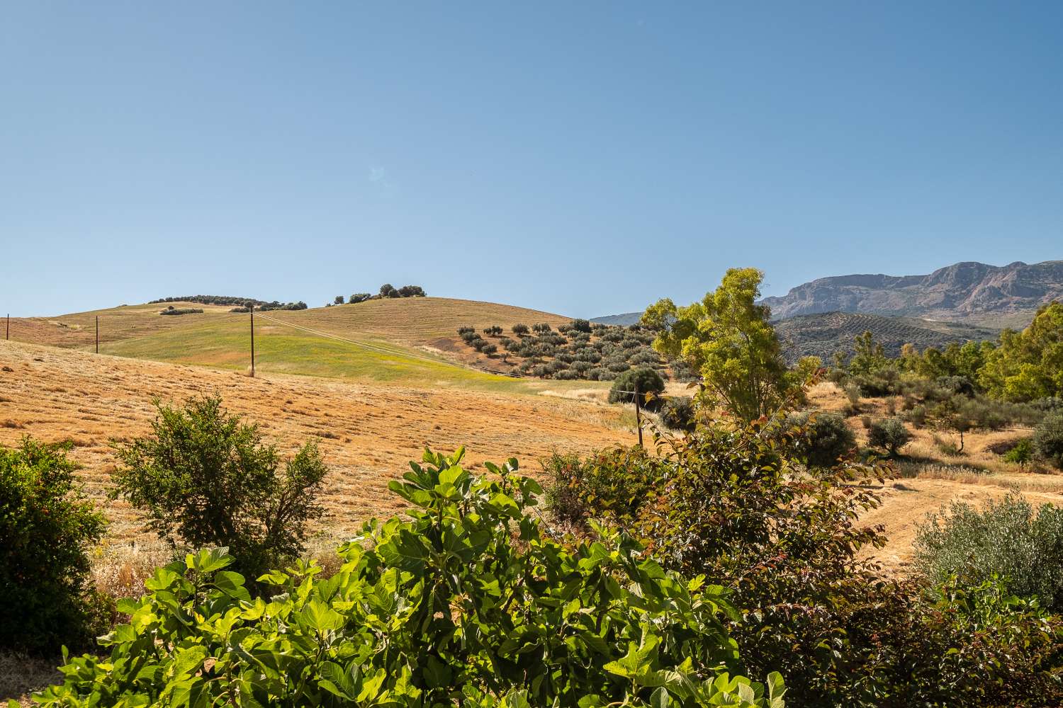 Bella e spaziosa casa di campagna divisa in due case con accessi indipendenti