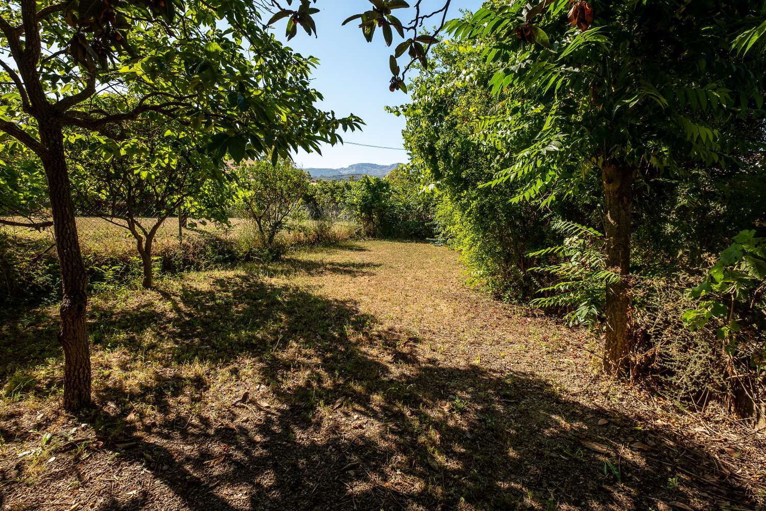 Beautiful and spacious country house divided into two houses with independent accesses