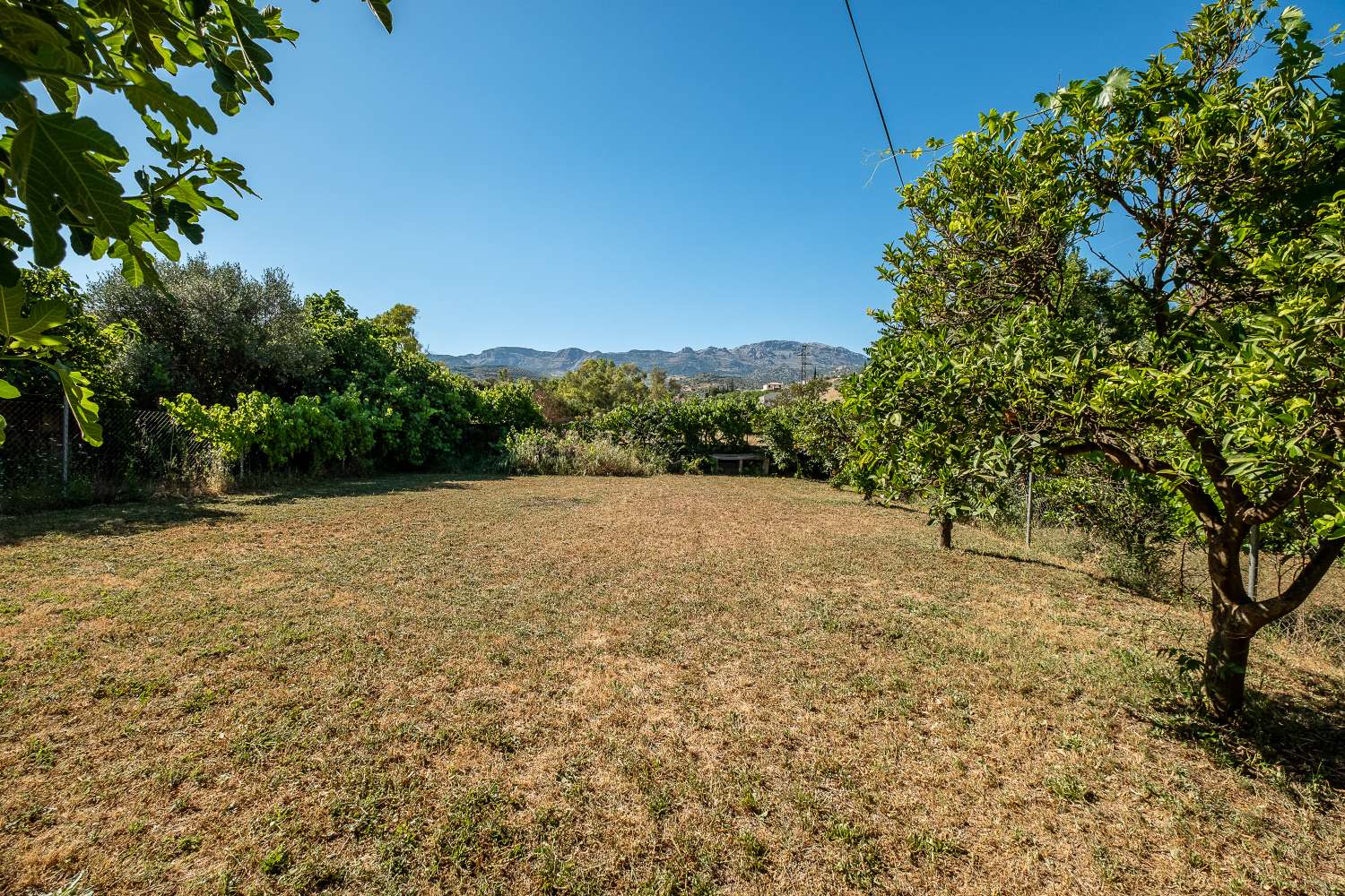 Beautiful and spacious country house divided into two houses with independent accesses