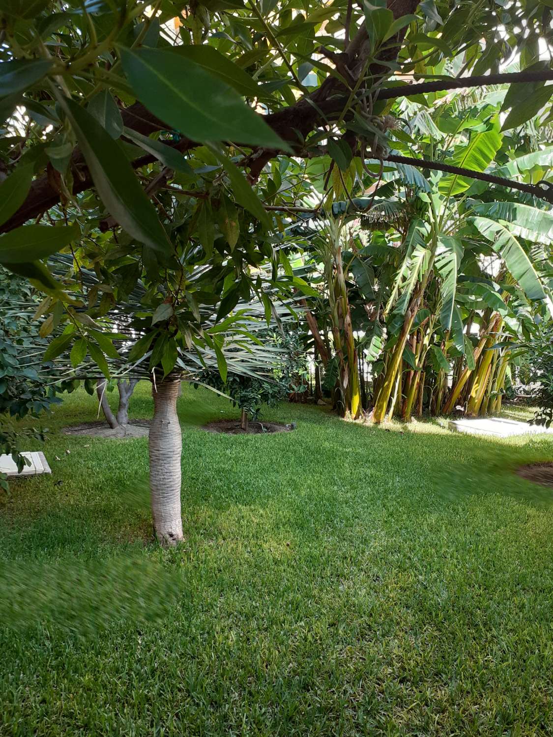 Bel appartement à côté de la plage à Nerja