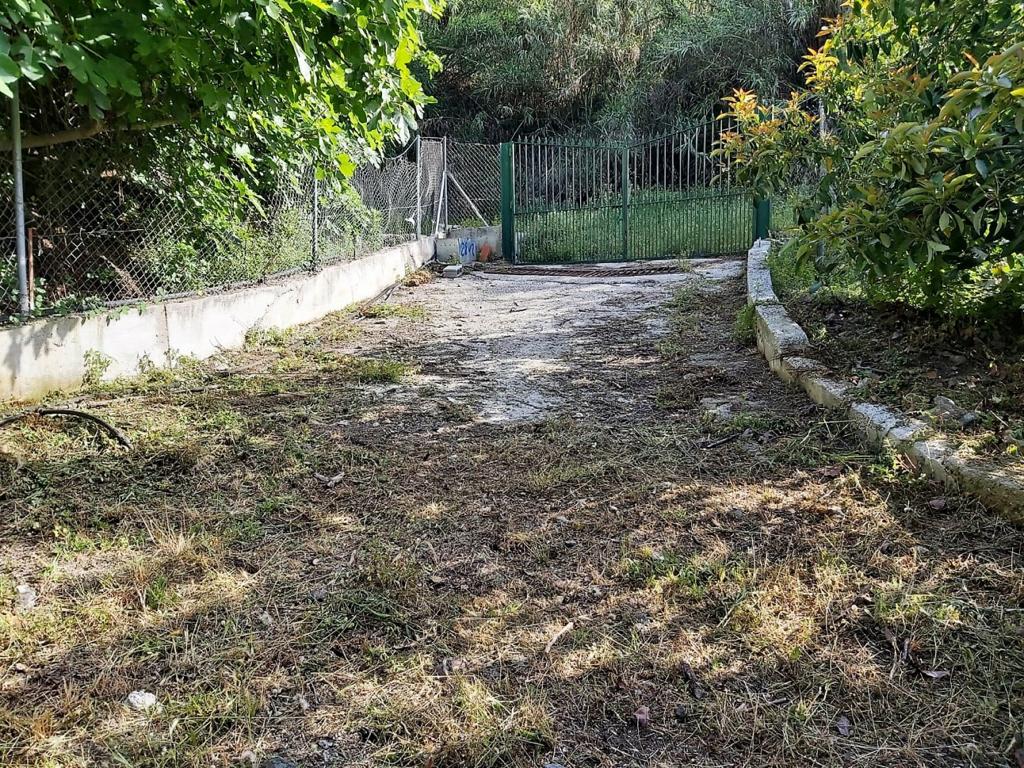 PROPRIETÀ DI CAMPAGNA CON 3 CAMERE DA LETTO CON 2538 m2 DI TERRENO PIANETALE, PISCINA, GARAGE E APPARTAMENTO INDIPENDENTE - NERJA, EST