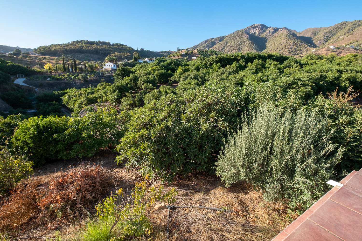 Cortijo con piscina en Frigiliana