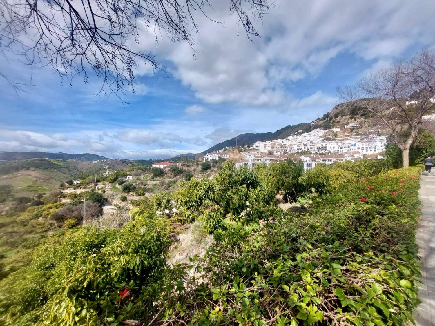 COUNTRY HOUSE FOR SALE IN FRIGILIANA